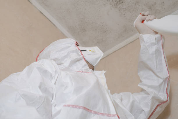 Best Residential Mold Remediation in Wilderness Rim, WA